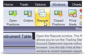 software-report